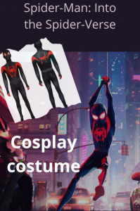 Boy`s cosplay costume